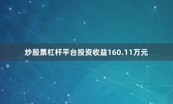 炒股票杠杆平台投资收益160.11万元
