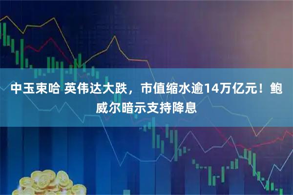 中玉束哈 英伟达大跌，市值缩水逾14万亿元！鲍威尔暗示支持降息