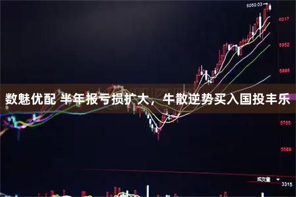 数魅优配 半年报亏损扩大，牛散逆势买入国投丰乐